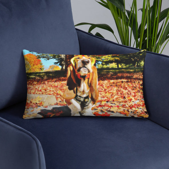 Fall Pillow