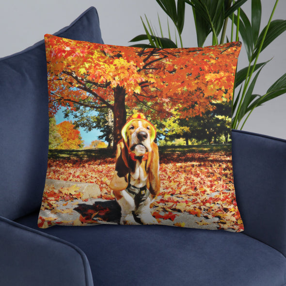 Fall Pillow