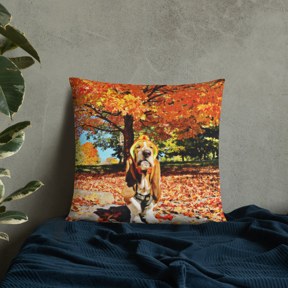 Fall Pillow